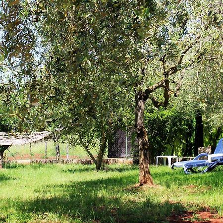 Villa Oliven Garden Rovinj Exterior foto
