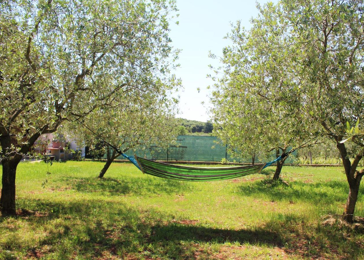 Villa Oliven Garden Rovinj Exterior foto