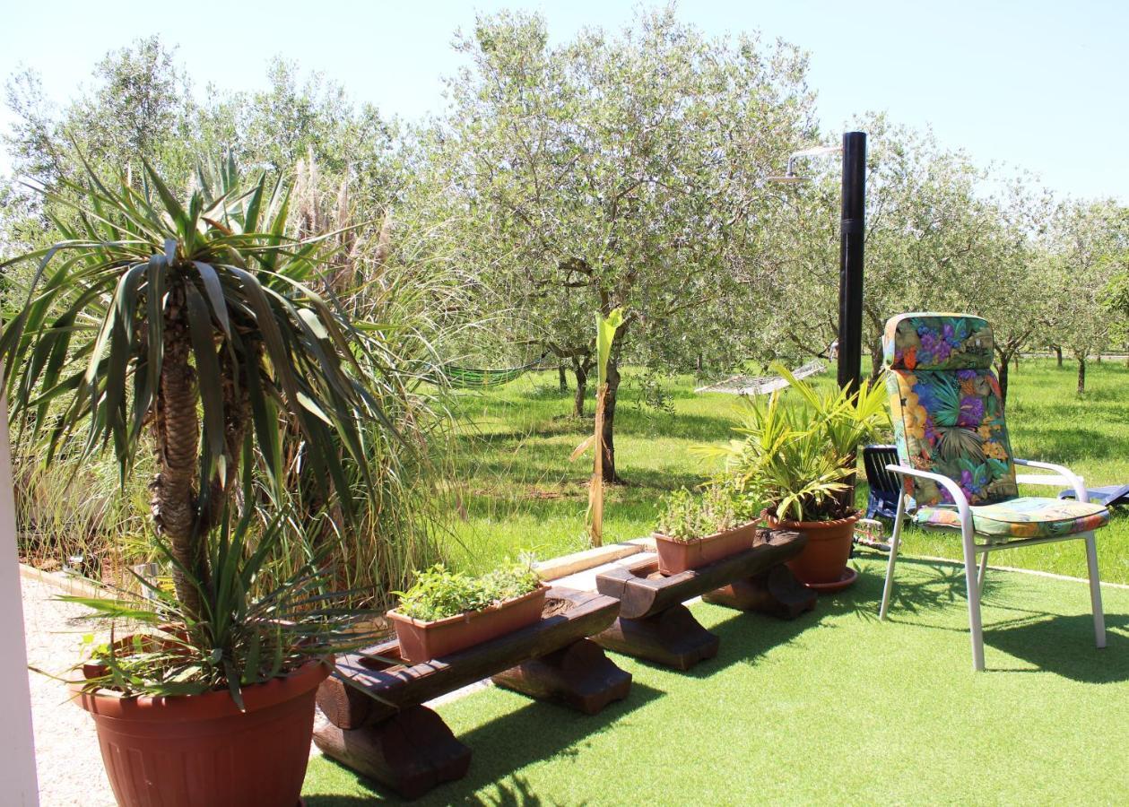Villa Oliven Garden Rovinj Exterior foto